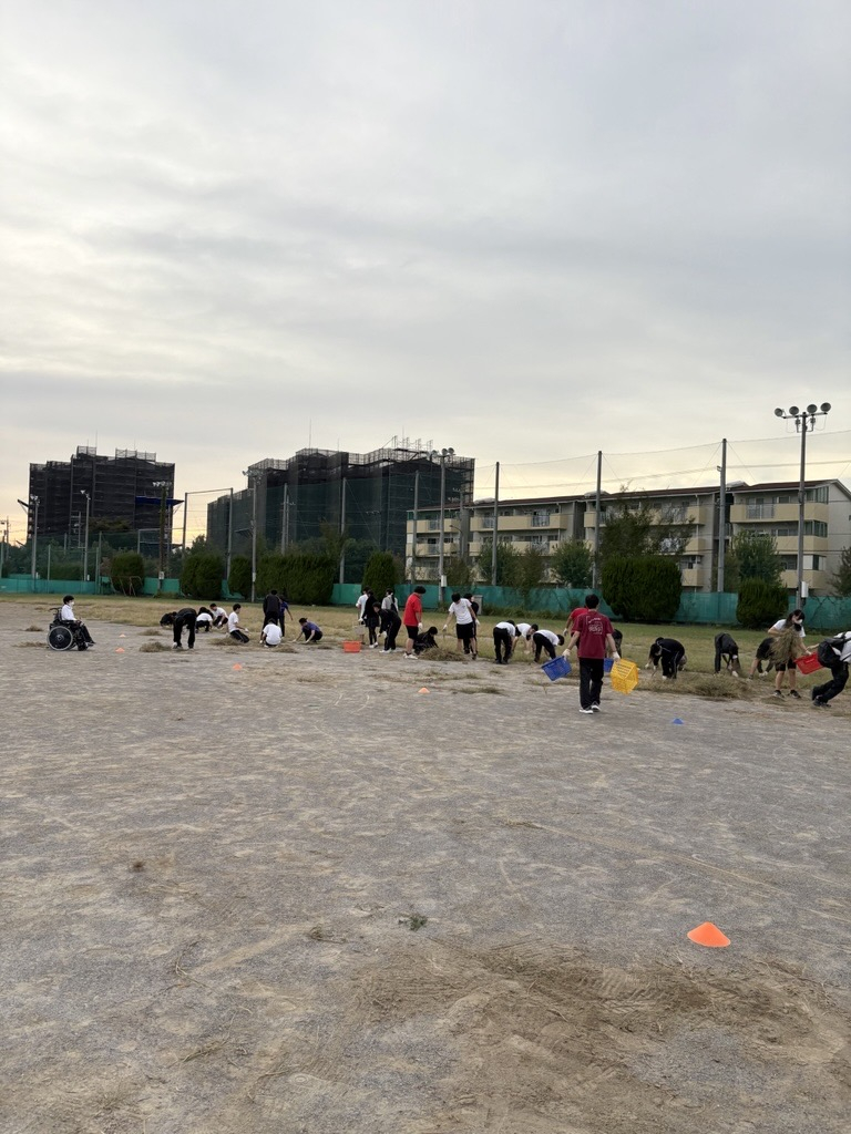 Image - 2025-10-10T100648.630